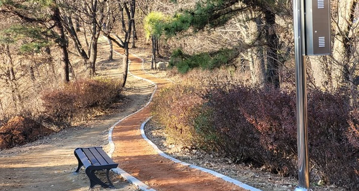 비학산 맨발 황톳길 실제 모습 · 지자체 공개 사진