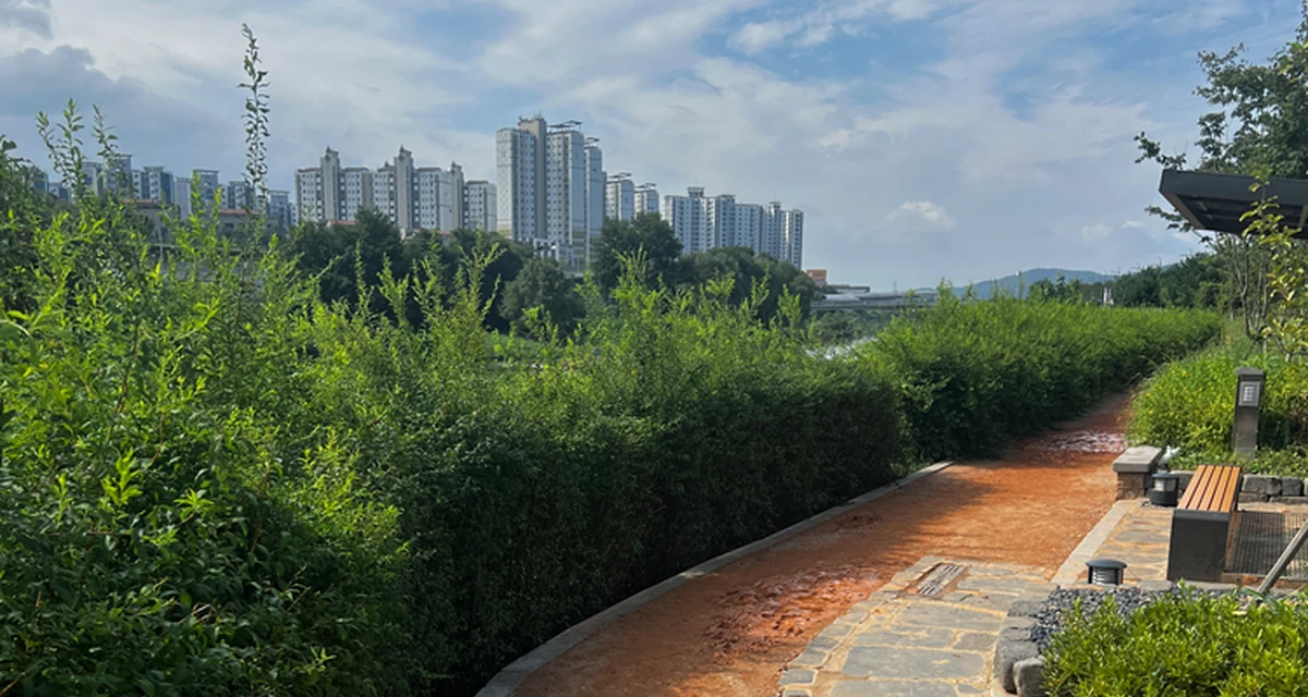 장현공원 왕숙천 테마정원 황톳길 실제 모습 · 지자체 공식 제공 사진
