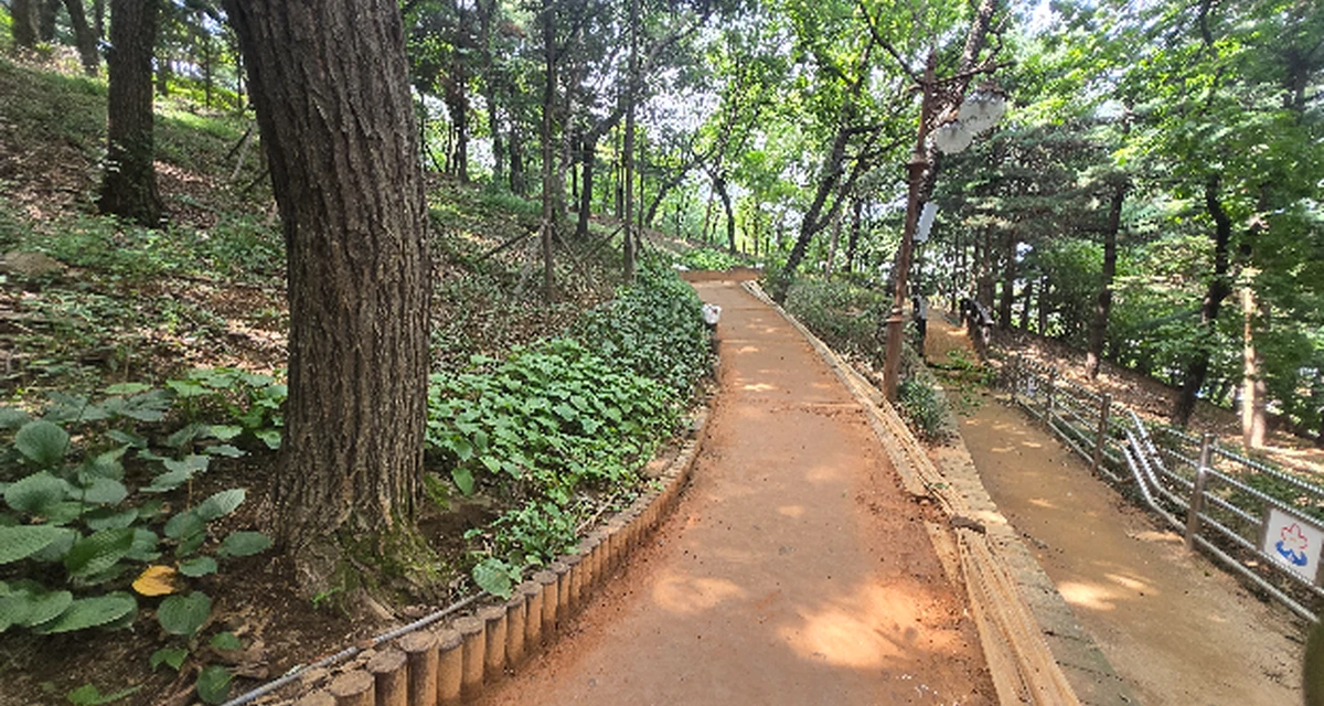 수진공원 황톳길 실제 모습 · 지자체 공식 제공 사진